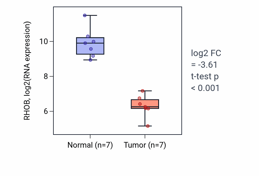 Tumor-vs-normal expression box plot for RHOB RNA in KICH.