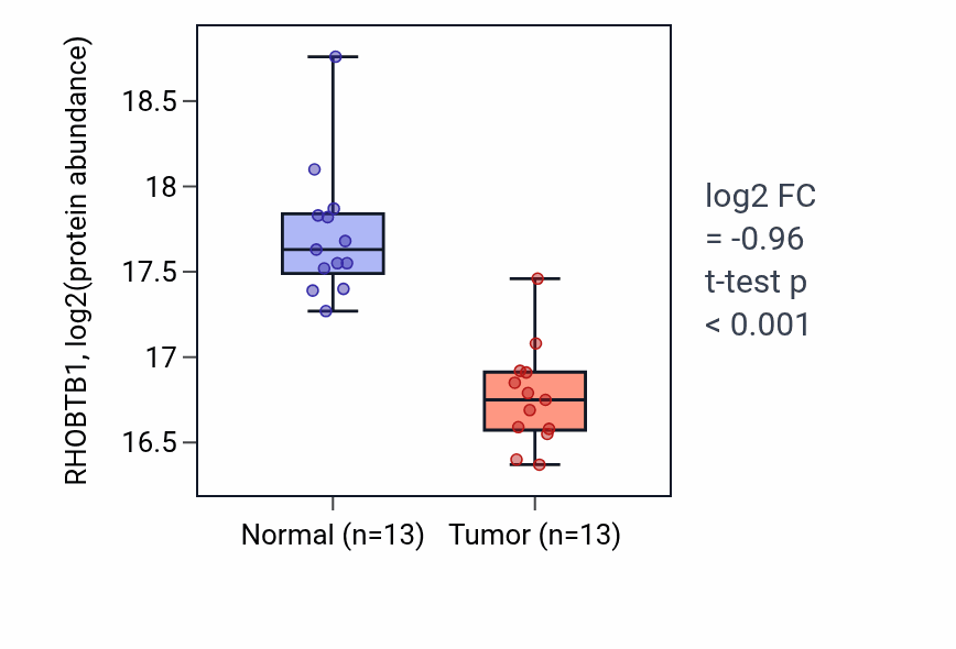 Tumor-vs-normal mass-spec protein box plot for RHOBTB1 in LUAD.