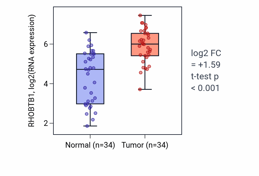 Tumor-vs-normal expression box plot for RHOBTB1 RNA in KIRC.