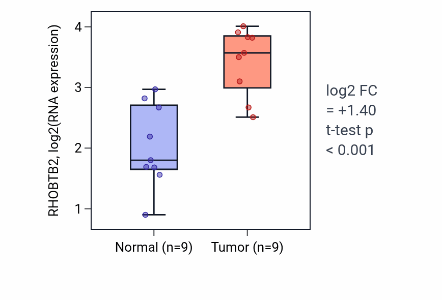 Tumor-vs-normal expression box plot for RHOBTB2 RNA in HNSC.