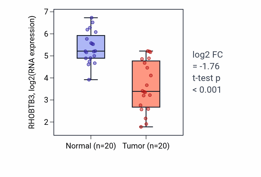 Tumor-vs-normal expression box plot for RHOBTB3 RNA in KIRC.