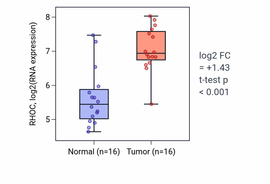 Tumor-vs-normal expression box plot for RHOC RNA in HNSC.