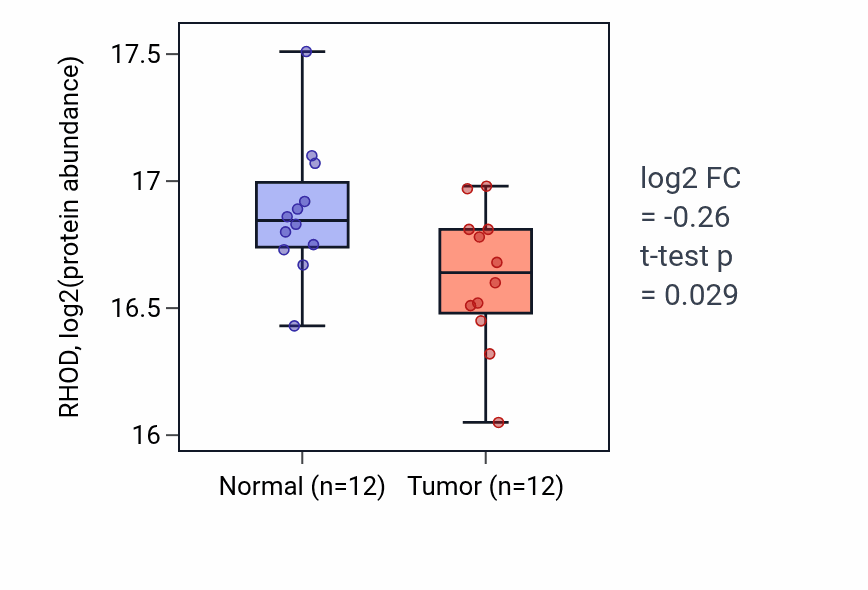 Tumor-vs-normal mass-spec protein box plot for RHOD in CCRCC.