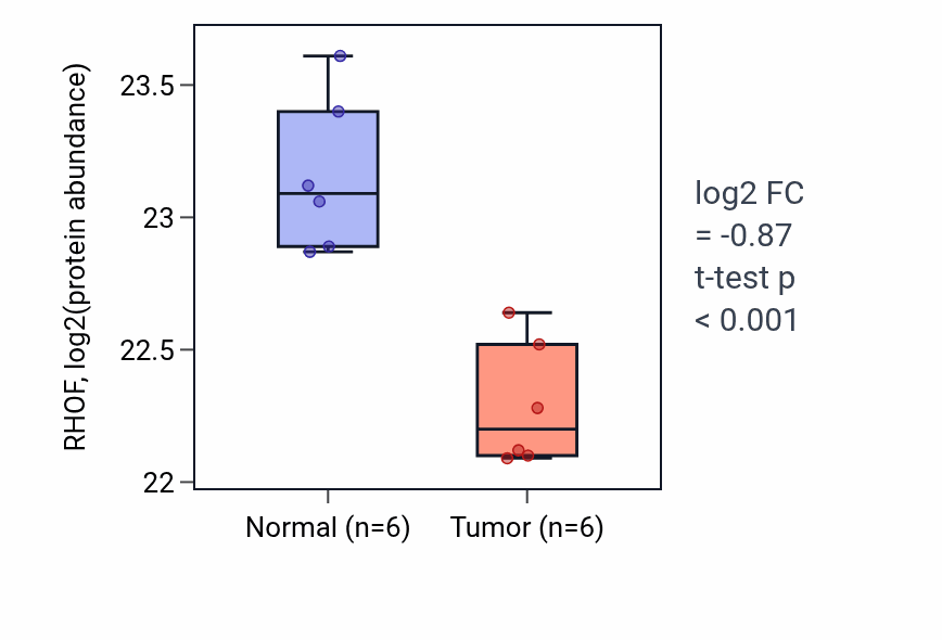 Tumor-vs-normal mass-spec protein box plot for RHOF in LUAD.