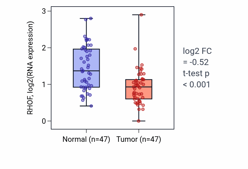 Tumor-vs-normal expression box plot for RHOF RNA in KIRC.
