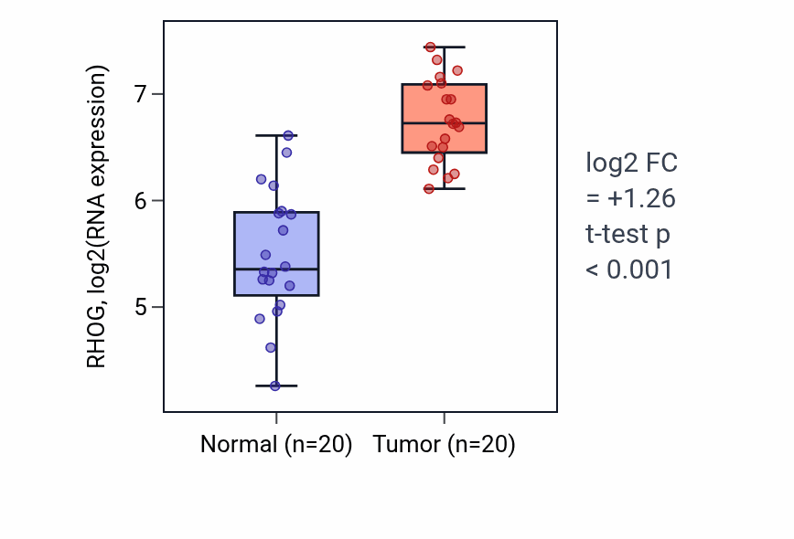 Tumor-vs-normal expression box plot for RHOG RNA in KIRC.
