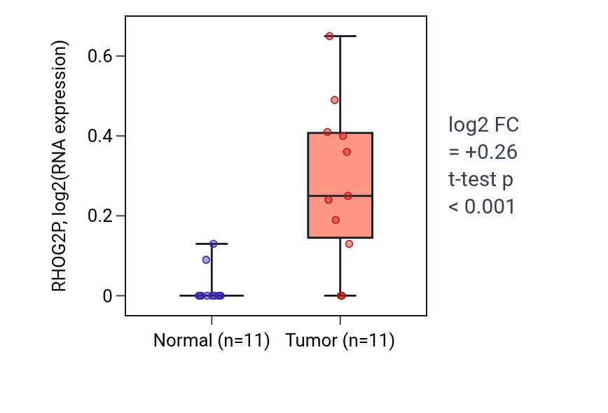 Tumor-vs-normal expression box plot for RHOG2P in HNSC.