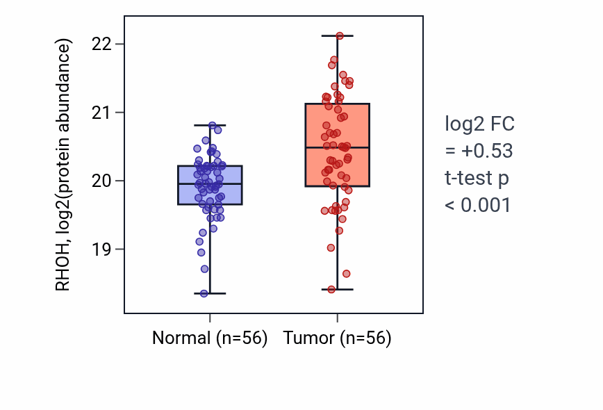 Tumor-vs-normal mass-spec protein box plot for RHOH in LUAD.