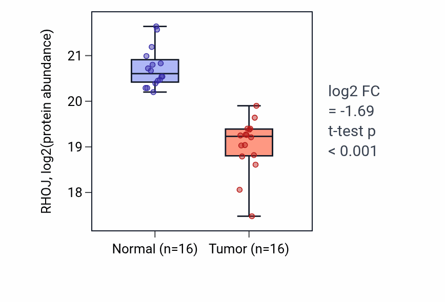 Tumor-vs-normal mass-spec protein box plot for RHOJ in LSCC.