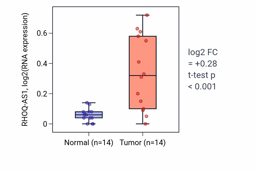 Tumor-vs-normal expression box plot for RHOQ-AS1 RNA in HNSC.