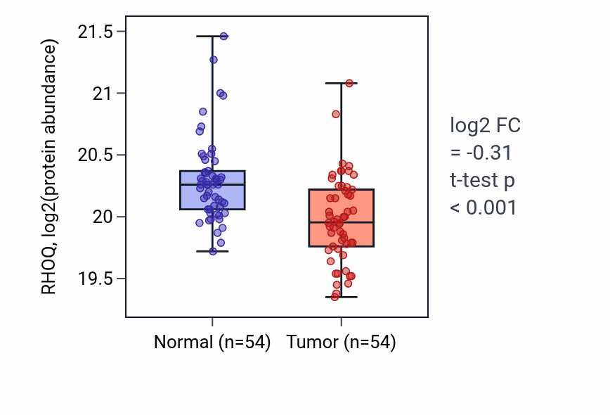 Tumor-vs-normal mass-spec protein box plot for RHOQ in LUAD.