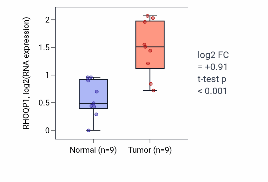 Tumor-vs-normal expression box plot for RHOQP1 in HNSC.