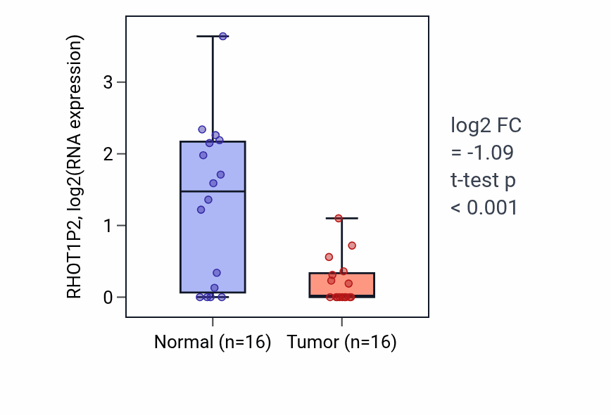 Tumor-vs-normal expression box plot for RHOT1P2 in HNSC.