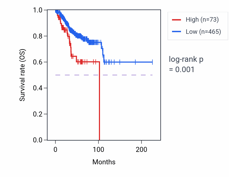 Kaplan&ndash;Meier survival curve for RHOT1P3 RNA expression in UCEC: high vs low expression groups.