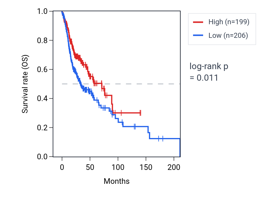 Kaplan&ndash;Meier survival curve for RHOT2 RNA expression in HNSC: high vs low expression groups.