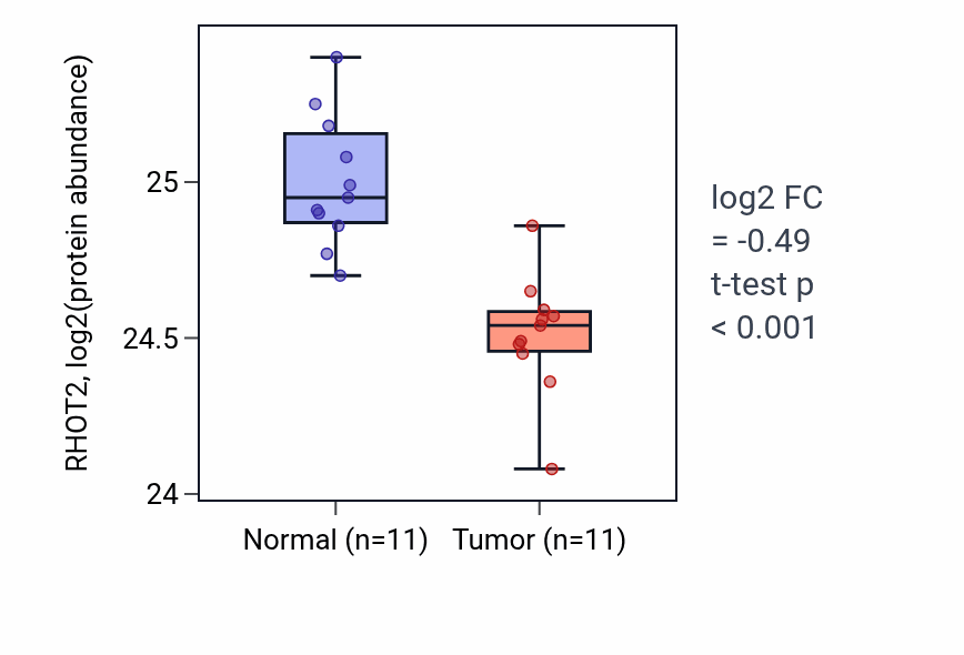 Tumor-vs-normal mass-spec protein box plot for RHOT2 in CCRCC.