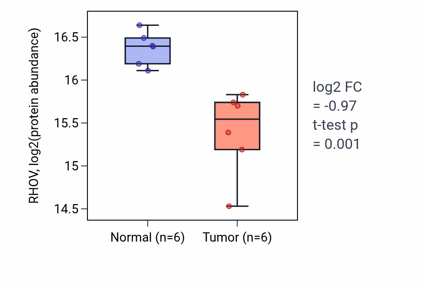 Tumor-vs-normal mass-spec protein box plot for RHOV in HNSC.