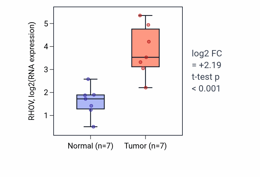 Tumor-vs-normal expression box plot for RHOV RNA in THCA.