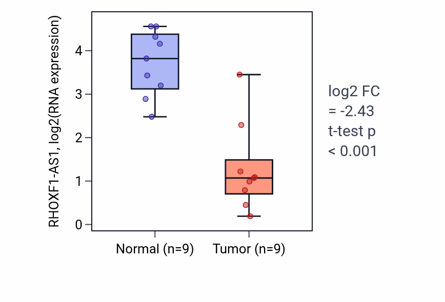 Tumor-vs-normal expression box plot for RHOXF1-AS1 in LUAD.