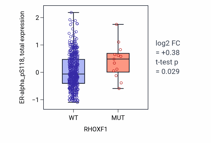 Box plot of ER-alpha_pS118 in RHOXF1-low vs RHOXF1-high samples in UCEC.