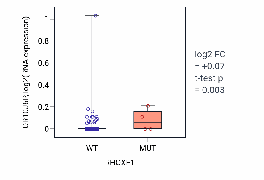 Box plot of OR10J6P in RHOXF1-low vs RHOXF1-high samples in LUSC.
