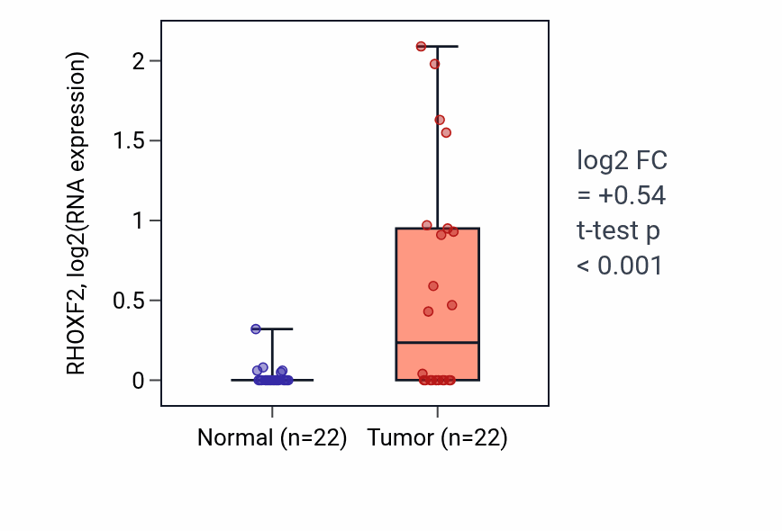Tumor-vs-normal expression box plot for RHOXF2 in KICH.