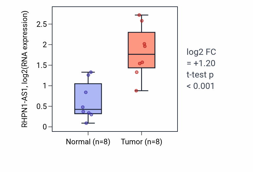 Tumor-vs-normal expression box plot for RHPN1-AS1 RNA in BLCA.