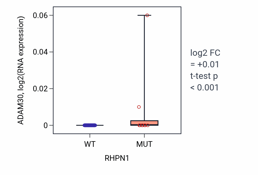 Box plot of ADAM30 in RHPN1-low vs RHPN1-high samples in BLOOD_Leukemia.