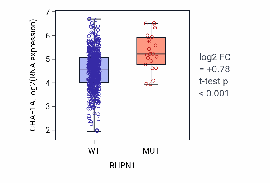Box plot of CHAF1A in RHPN1-low vs RHPN1-high samples in UCEC.