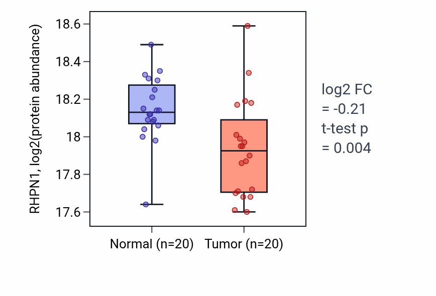 Tumor-vs-normal mass-spec protein box plot for RHPN1 in CCRCC.