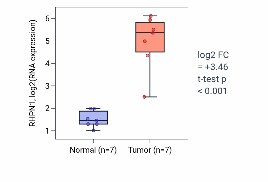 Tumor-vs-normal expression box plot for RHPN1 RNA in COAD.