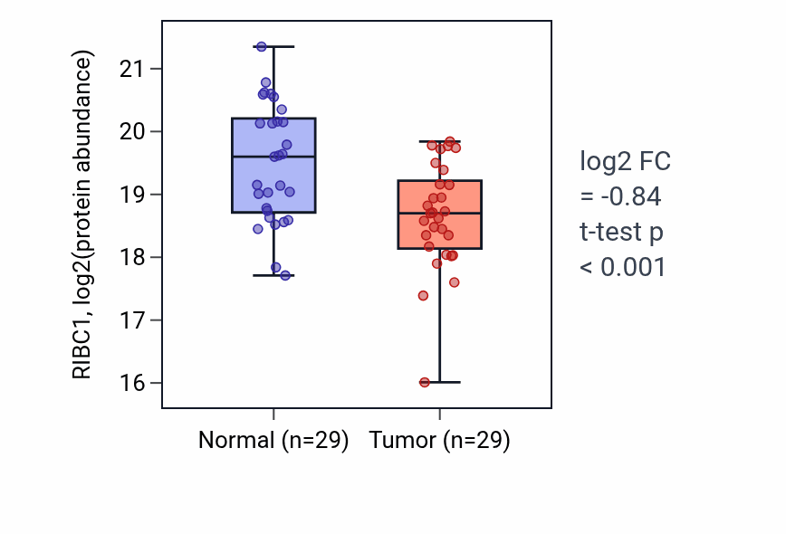 Tumor-vs-normal mass-spec protein box plot for RIBC1 in LUAD.
