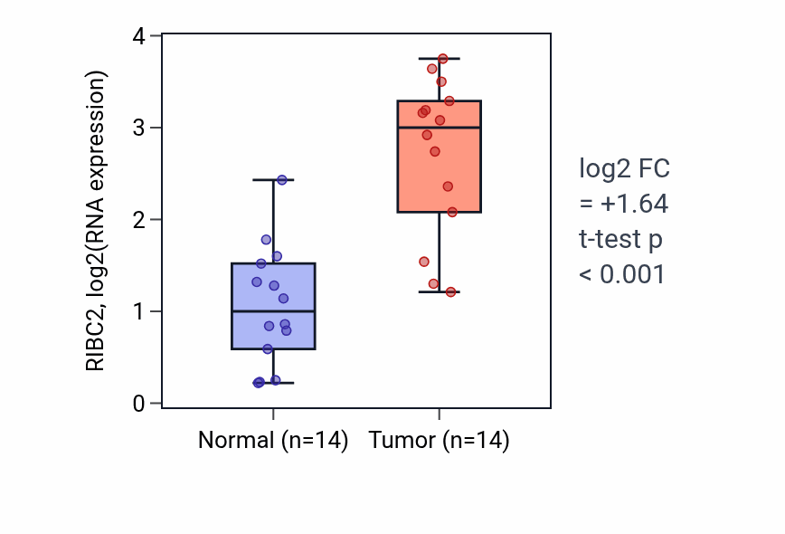 Tumor-vs-normal expression box plot for RIBC2 RNA in BLCA.