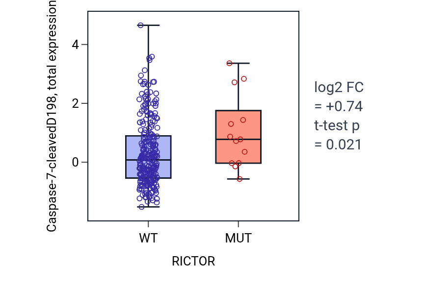 Box plot of Caspase-7-cleavedD198 in RICTOR-low vs RICTOR-high samples in STAD.