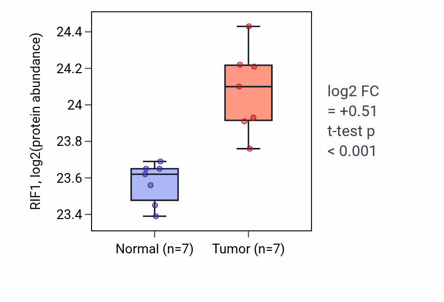 Tumor-vs-normal mass-spec protein box plot for RIF1 in CCRCC.