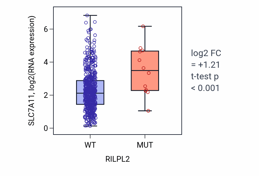 Box plot of SLC7A11 in RILPL2-low vs RILPL2-high samples in UCEC.