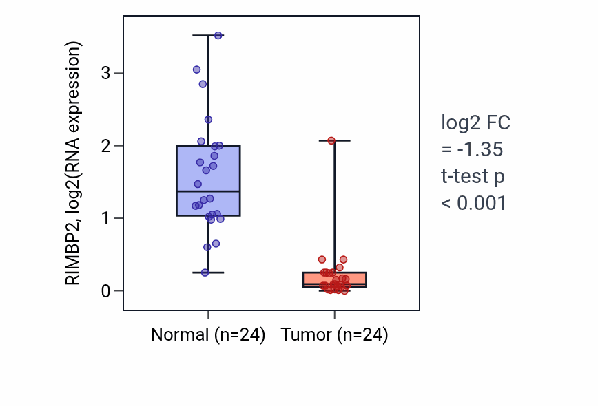 Tumor-vs-normal expression box plot for RIMBP2 RNA in KIRC.