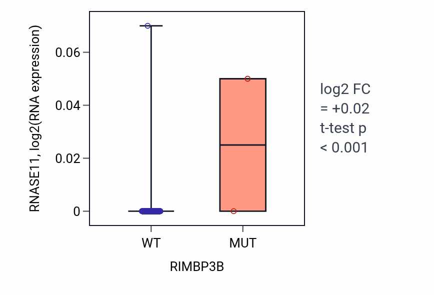 Box plot of RNASE11 in RIMBP3B-low vs RIMBP3B-high samples in COAD.