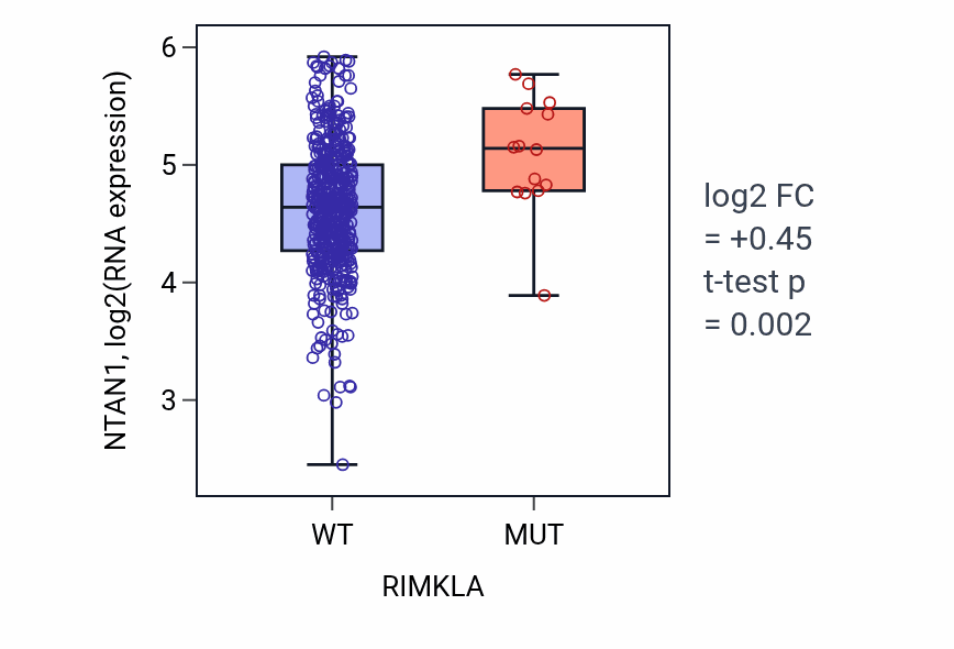 Box plot of NTAN1 in RIMKLA-low vs RIMKLA-high samples in SKCM.