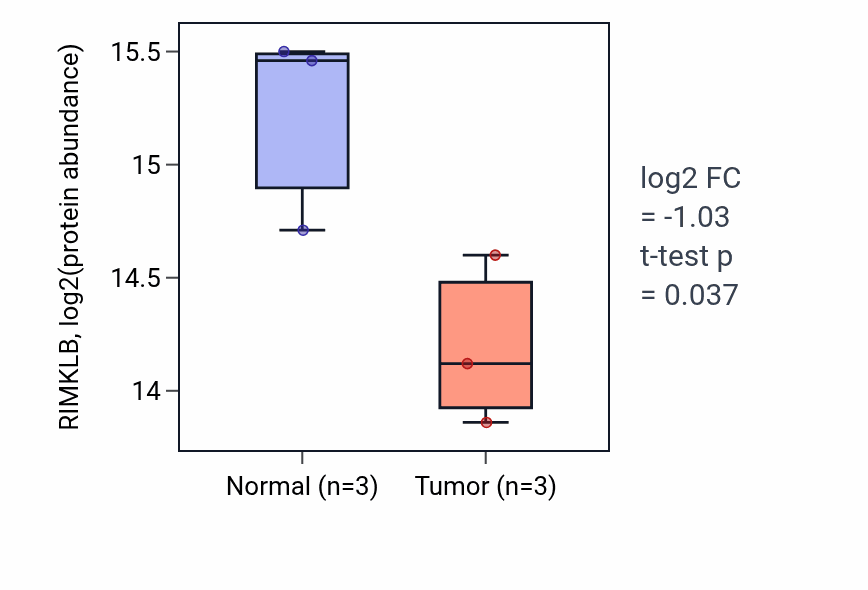 Tumor-vs-normal mass-spec protein box plot for RIMKLB in HNSC.