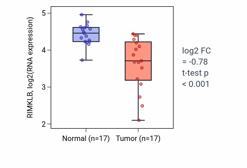Tumor-vs-normal expression box plot for RIMKLB RNA in THCA.