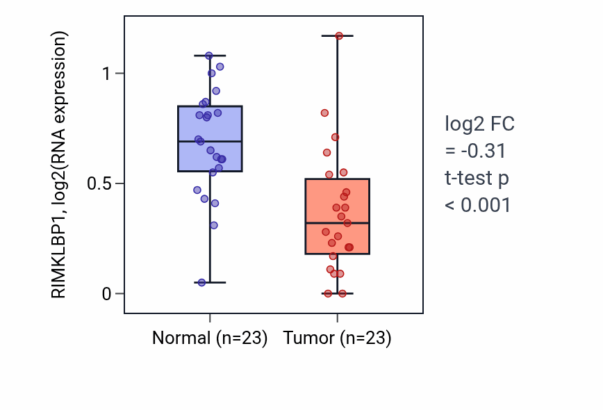 Tumor-vs-normal expression box plot for RIMKLBP1 in THCA.