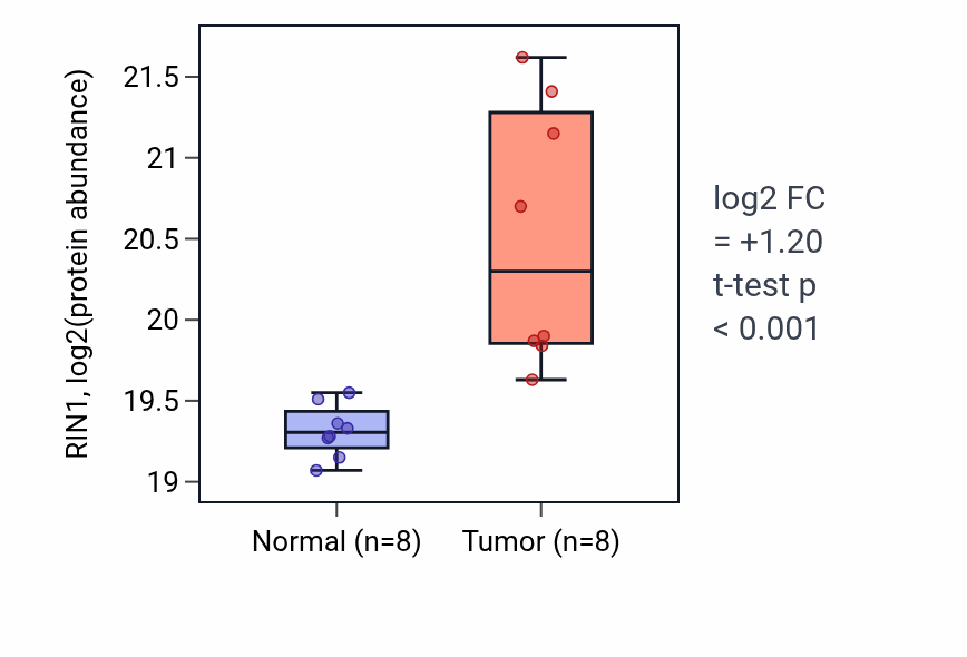 Tumor-vs-normal mass-spec protein box plot for RIN1 in CCRCC.