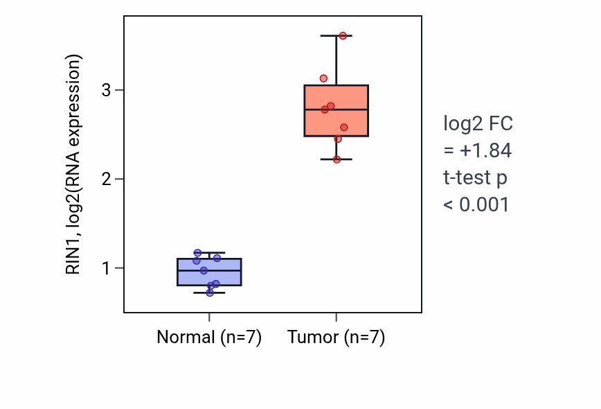 Tumor-vs-normal expression box plot for RIN1 RNA in THCA.
