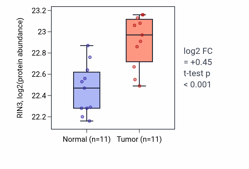 Tumor-vs-normal mass-spec protein box plot for RIN3 in CCRCC.