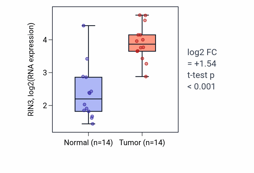 Tumor-vs-normal expression box plot for RIN3 RNA in KIRC.