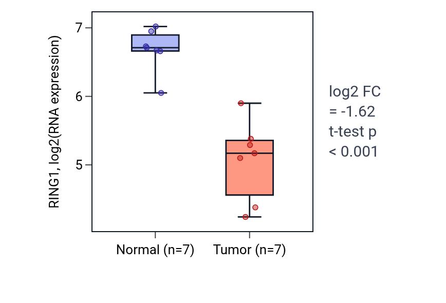 Tumor-vs-normal expression box plot for RING1 in KICH.