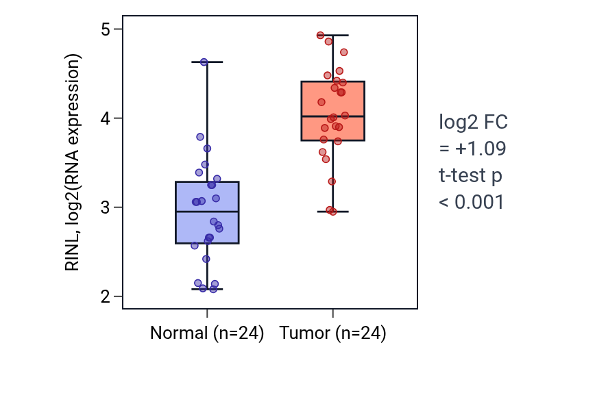Tumor-vs-normal expression box plot for RINL in KIRC.