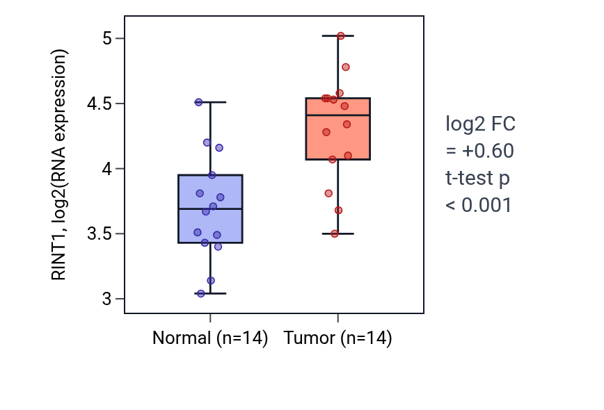 Tumor-vs-normal expression box plot for RINT1 in KIRC.
