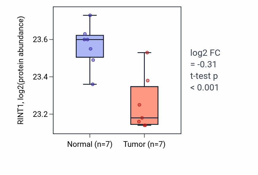 Tumor-vs-normal mass-spec protein box plot for RINT1 in CCRCC.